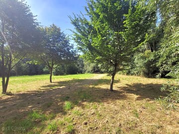 Forest area
