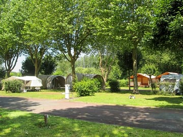 Lots of trees around for shade