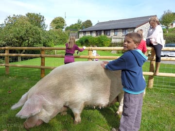 Come and meet the friendly animals