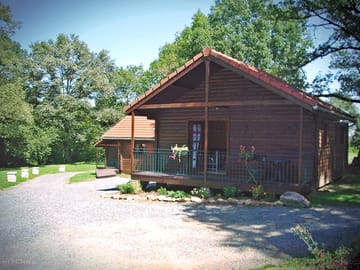 Wooden lodges surrounded by trees