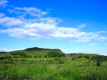 View of Banc Gwyn from our site