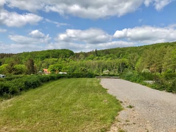 Pitch with forest views
