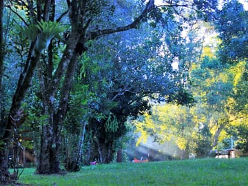 Camp site