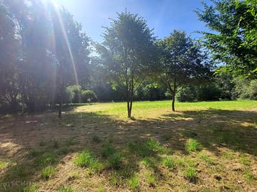 Main pitch area