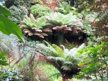 Lost gardens of heligan