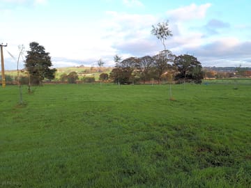 Looking north