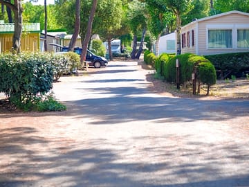 Driveway of the site