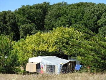 Camping pitches