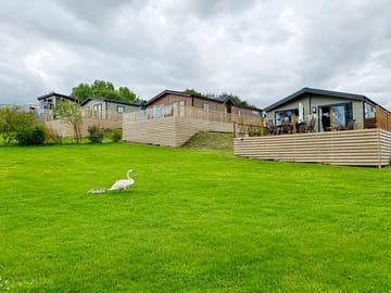 Decking of the lodge