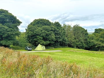 Grass tent pitches