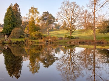 The lake at mount ephraim gardens