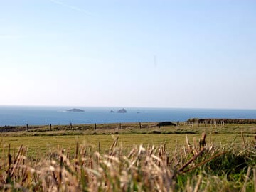 View from our touring & dog walking field