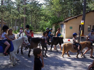 Pony rides for children