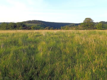 Pitching meadow 2 with a valley view