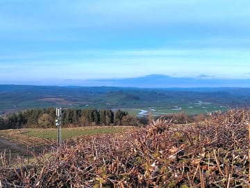 Photo taken a short walk from the campsite looking down on the tywi valley. spot the river tywi :)