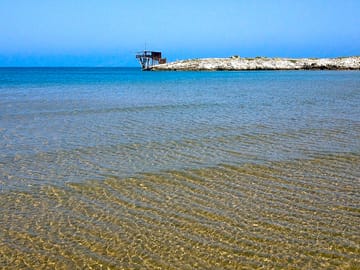 The beach