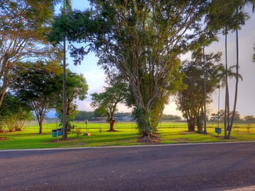 Plenty of greenery