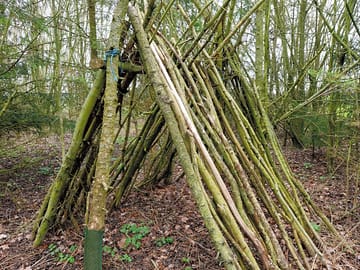 Our small wooded area is great for children to explore.