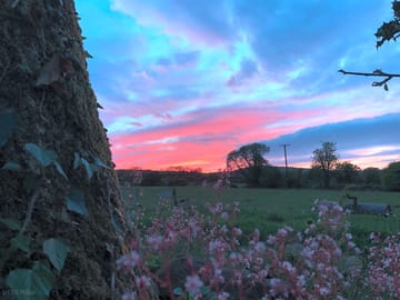 Sunset on the smallholding