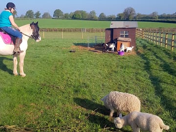 The smallholding