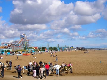 Donkey rides on the beach