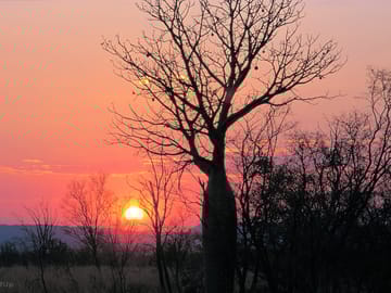 Sunset near the site