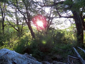 Around the site