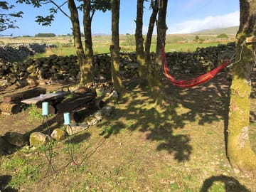Outside space with hammocks
