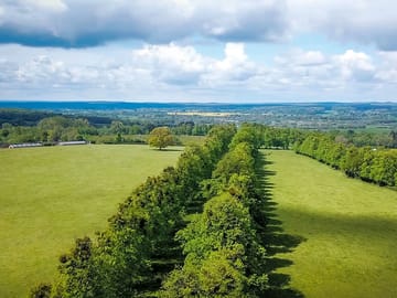 View of the meadow