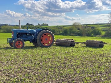 At work in the fields