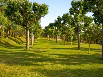 Grass zone