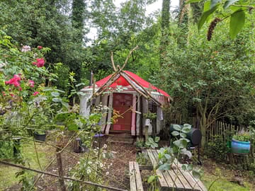 Yurt on the edge of the woods