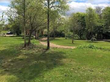 Pitches dotted with trees