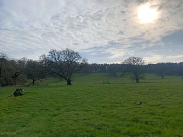 Meadow park wild camping