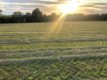 Camping field at sunset