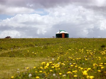 Yurt