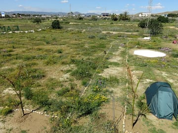 Tent pitches