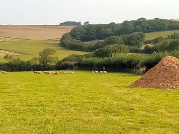 View over fields