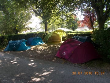 Peaceful shaded site