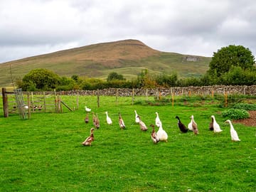 Murton Pike from field at The Old Chapel