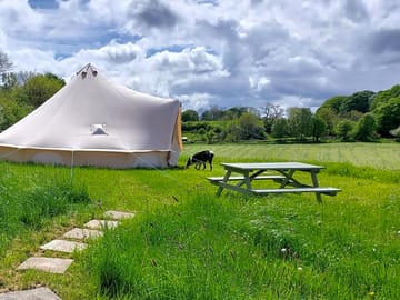 Picnic bench outside of the bell tent