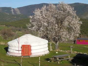Spring has sprung