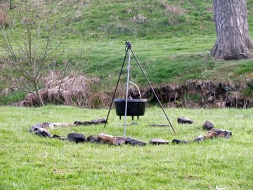Firepits are allowed in allocated spaces