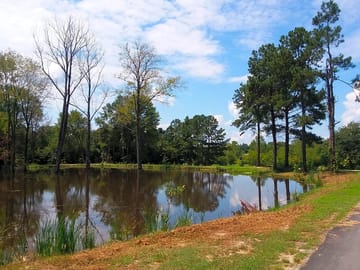 Path alongside the fishing pond