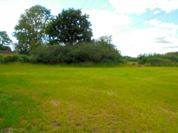 Pitching field