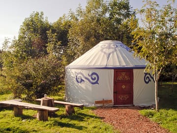Yurt among the trees