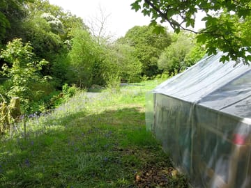 Woodland camp with beautiful secluded setting and tranquil scenery