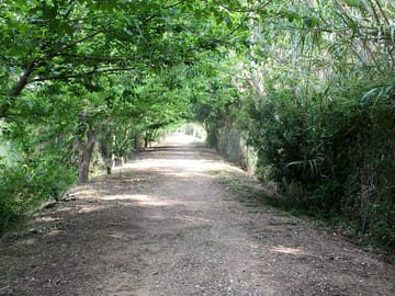 The way to the beach