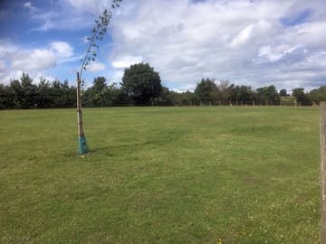 Quiet site