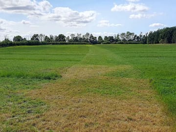 Mown track across the field